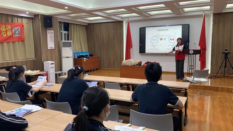 少儿编程与Scratch：两种编程教育工具的深度解析